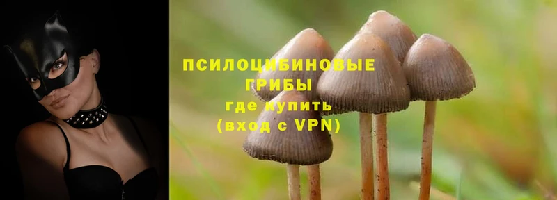 Галлюциногенные грибы Cubensis  Островной 